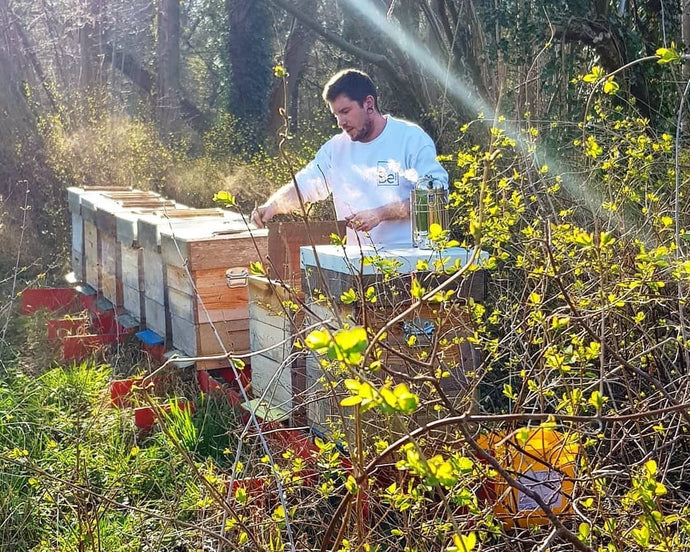 Be my Honey: Kwaliteitsvolle & ambachtelijke honing